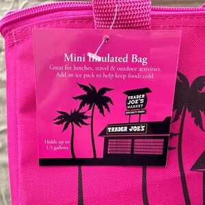 Mini Trader Joe’s insulated bag.